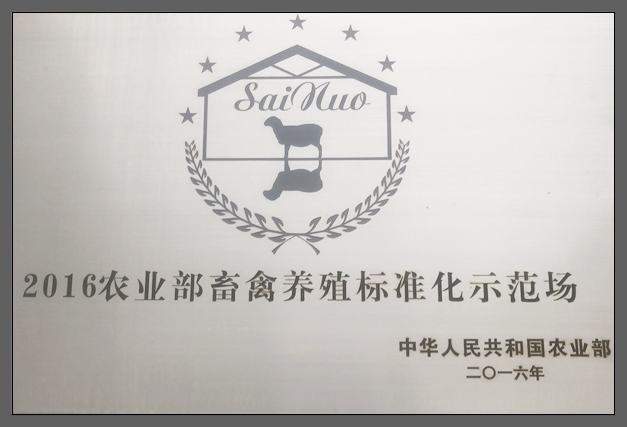 公司榮譽